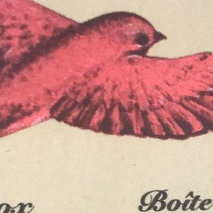 Meet your Posher, Julie